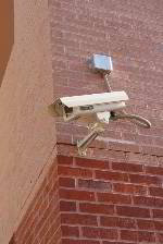 Security Guard on duty